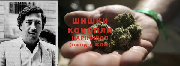 ешки Каменногорск