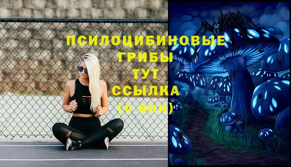 2c-b Каменск-Шахтинский
