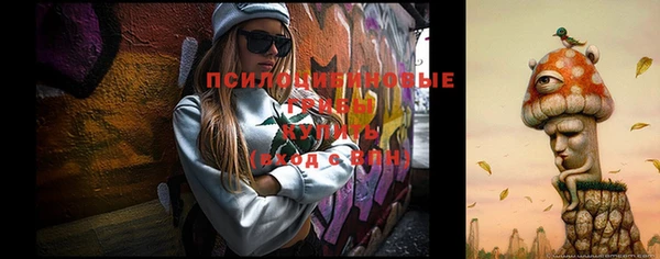 2c-b Каменск-Шахтинский