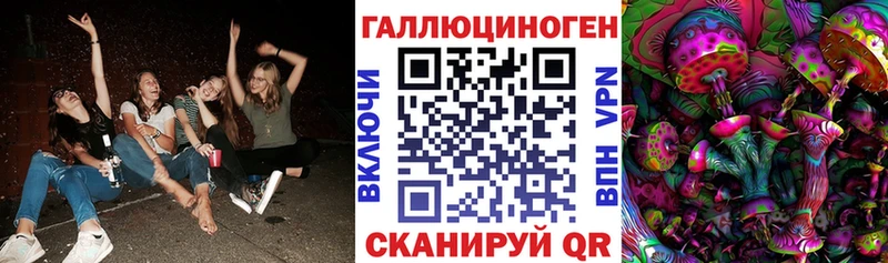 Купить где  Новоржев  Псилоцибиновые грибы прущие грибы 